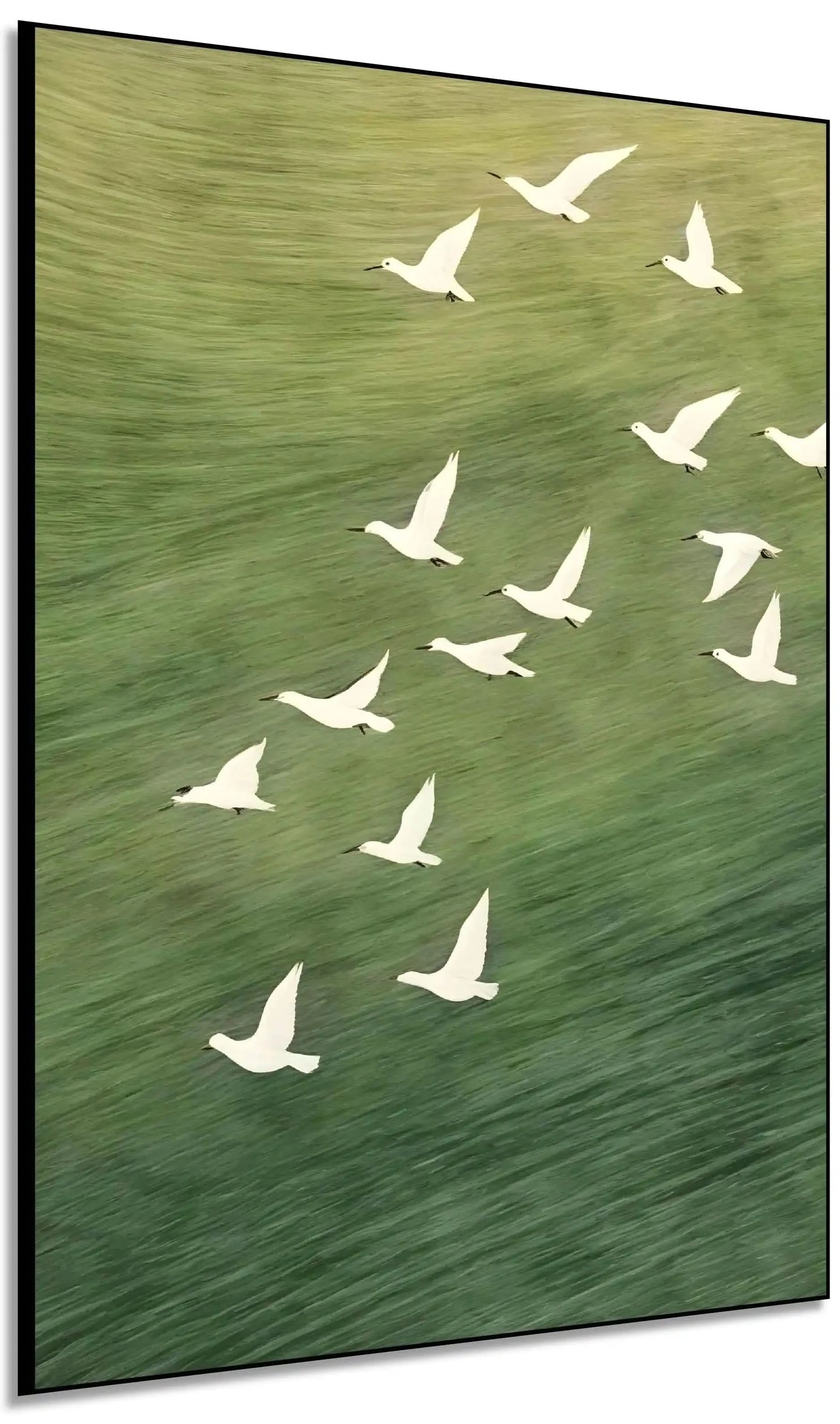 Oiseaux blancs en vol sur fond vert apaisant, évoquant liberté et sérénité, idéal pour salon ou bureau.
