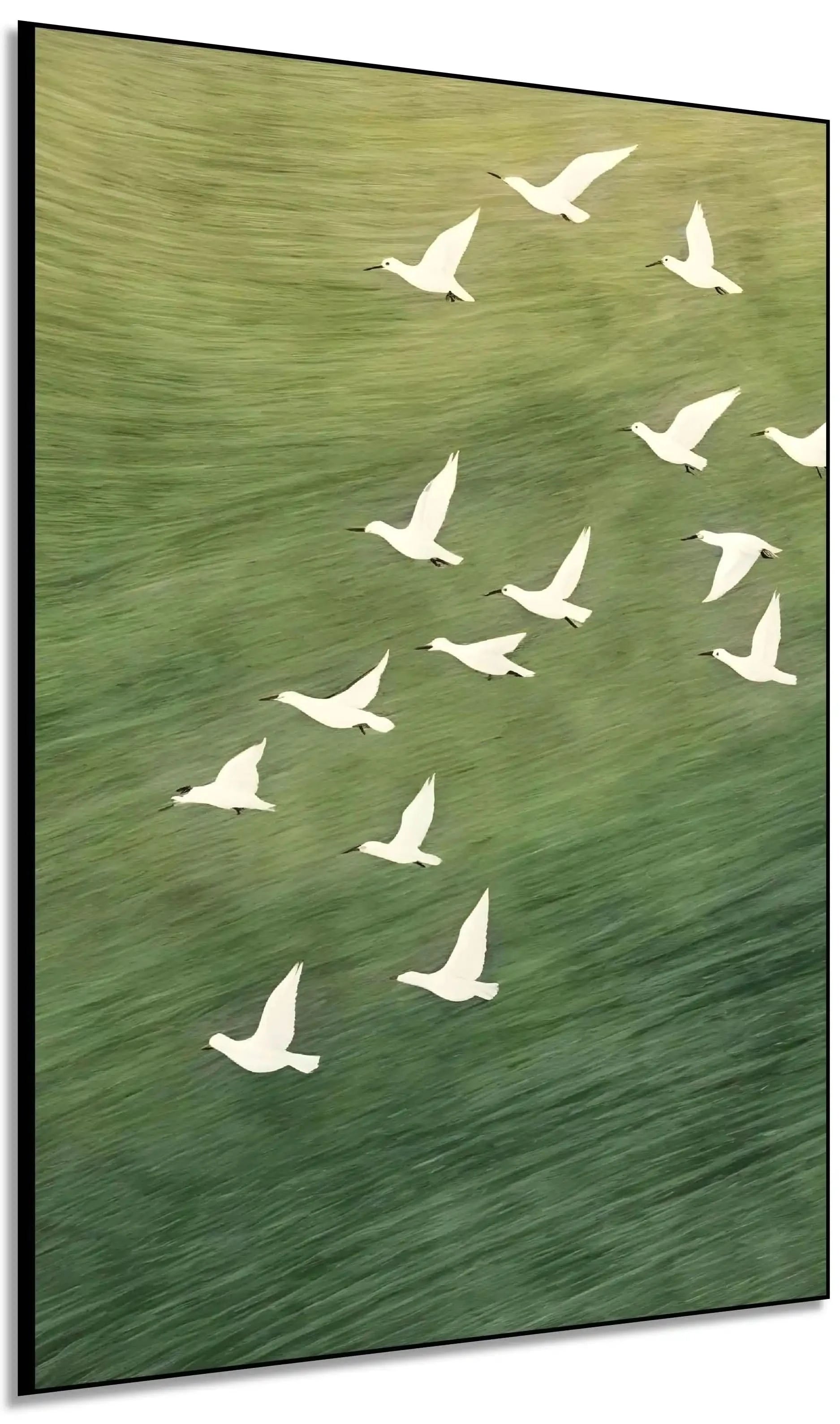 Oiseaux blancs en vol sur fond vert apaisant, évoquant liberté et sérénité, idéal pour salon ou bureau.