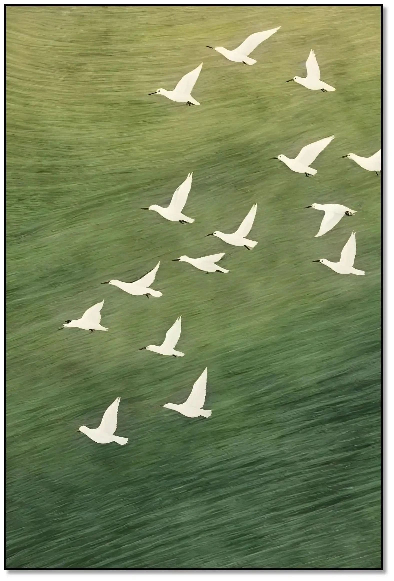 Oiseaux blancs en vol sur fond vert apaisant, évoquant liberté et sérénité, idéal pour salon ou bureau.