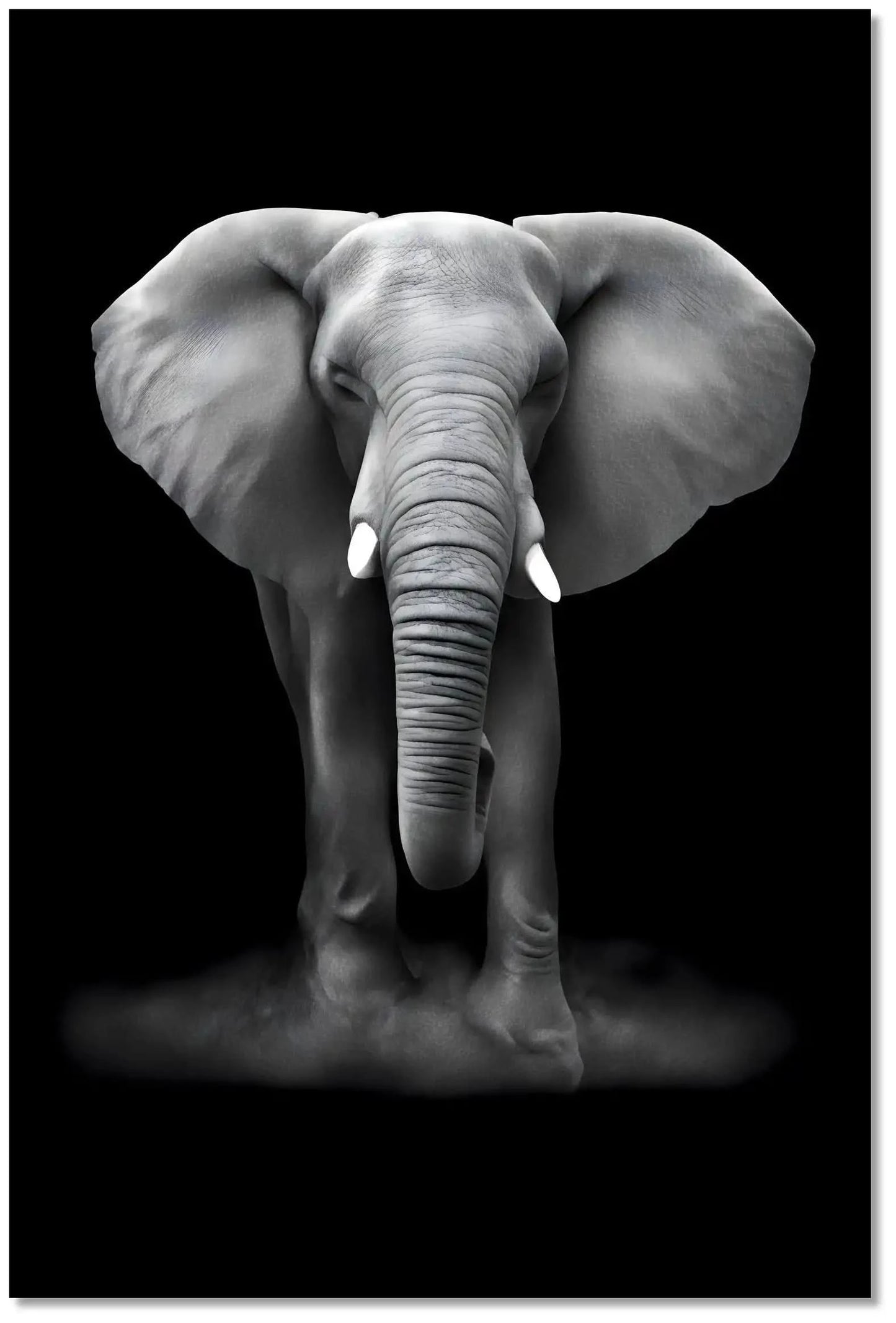 Tableau minimaliste noir et blanc montrant un éléphant de face sur fond sombre, évocateur de force et de sérénité.