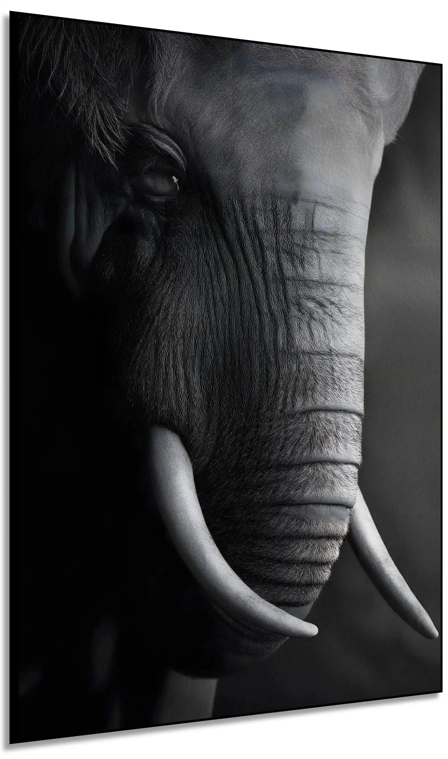 Gros plan en noir et blanc sur le visage d'un éléphant mettant en valeur la texture de sa peau et la courbe de sa défense.