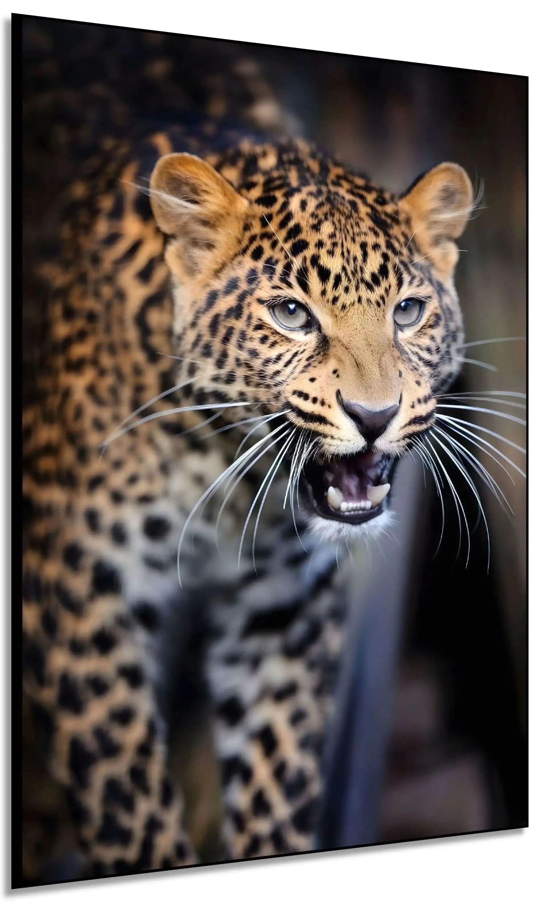 Portrait captivant d'un léopard féroce avec pelage tacheté brun et noir, regard intense, idéal pour salon ou bureau.