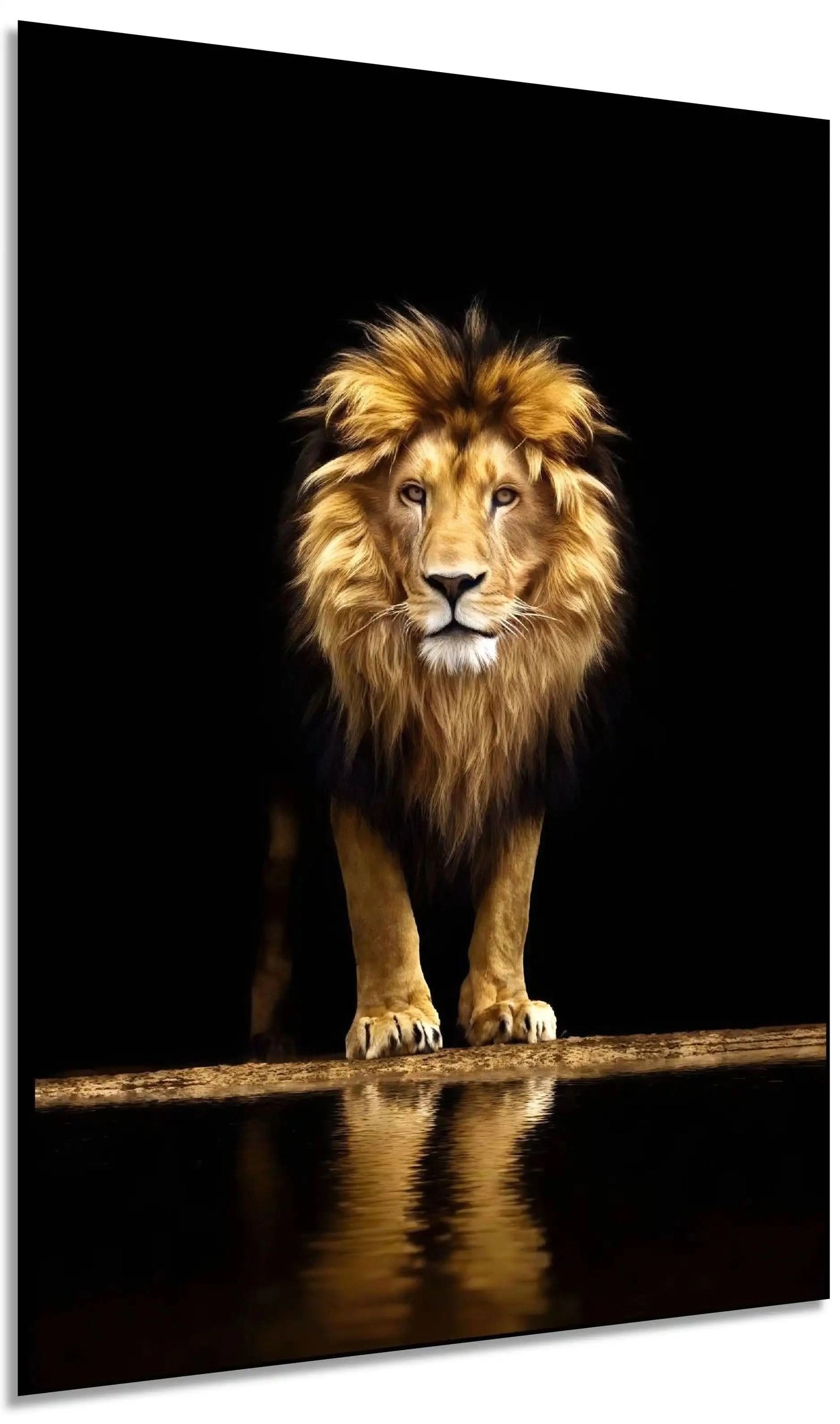 Tableau d'un lion majestueux sur fond noir, crinière dorée, ambiance puissante et mystérieuse pour salon ou bureau.