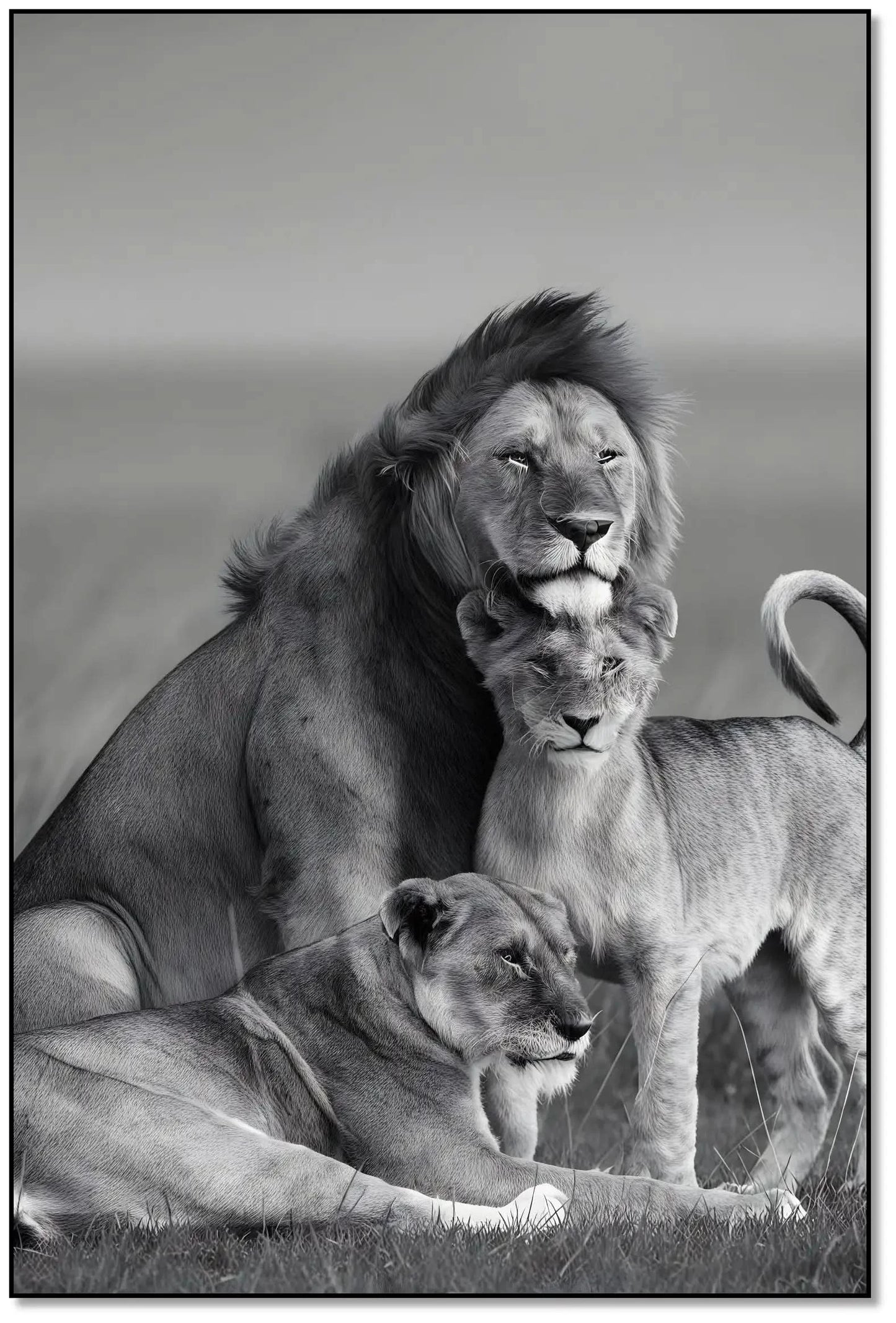 Famille de lions en noir et blanc, ambiance majestueuse et sereine, idéale pour salon ou bureau élégant.
