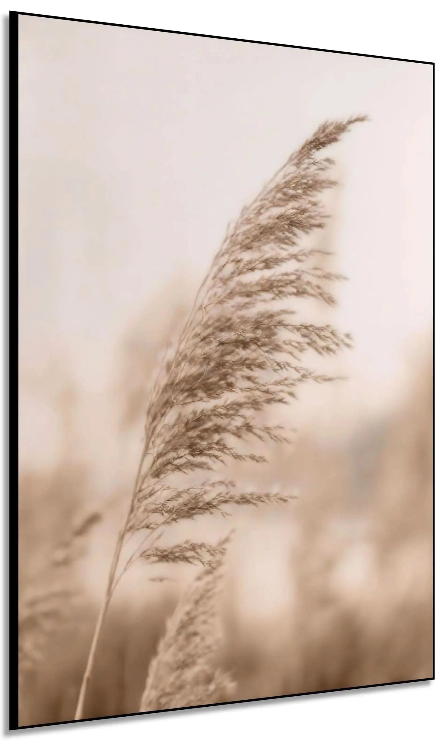 Herbe ondulant en sépia, ambiance naturelle et apaisante, idéale pour chambre ou espace zen.