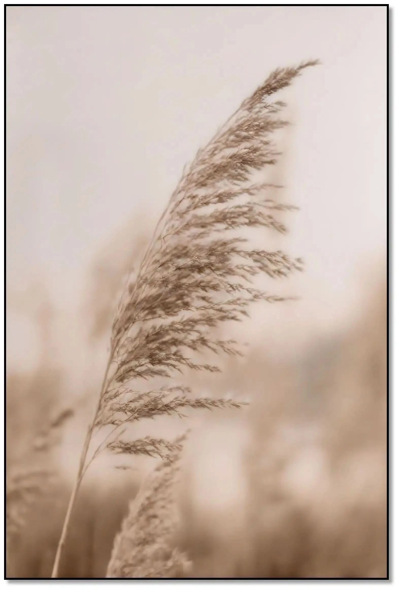 Herbe ondulant en sépia, ambiance naturelle et apaisante, idéale pour chambre ou espace zen.