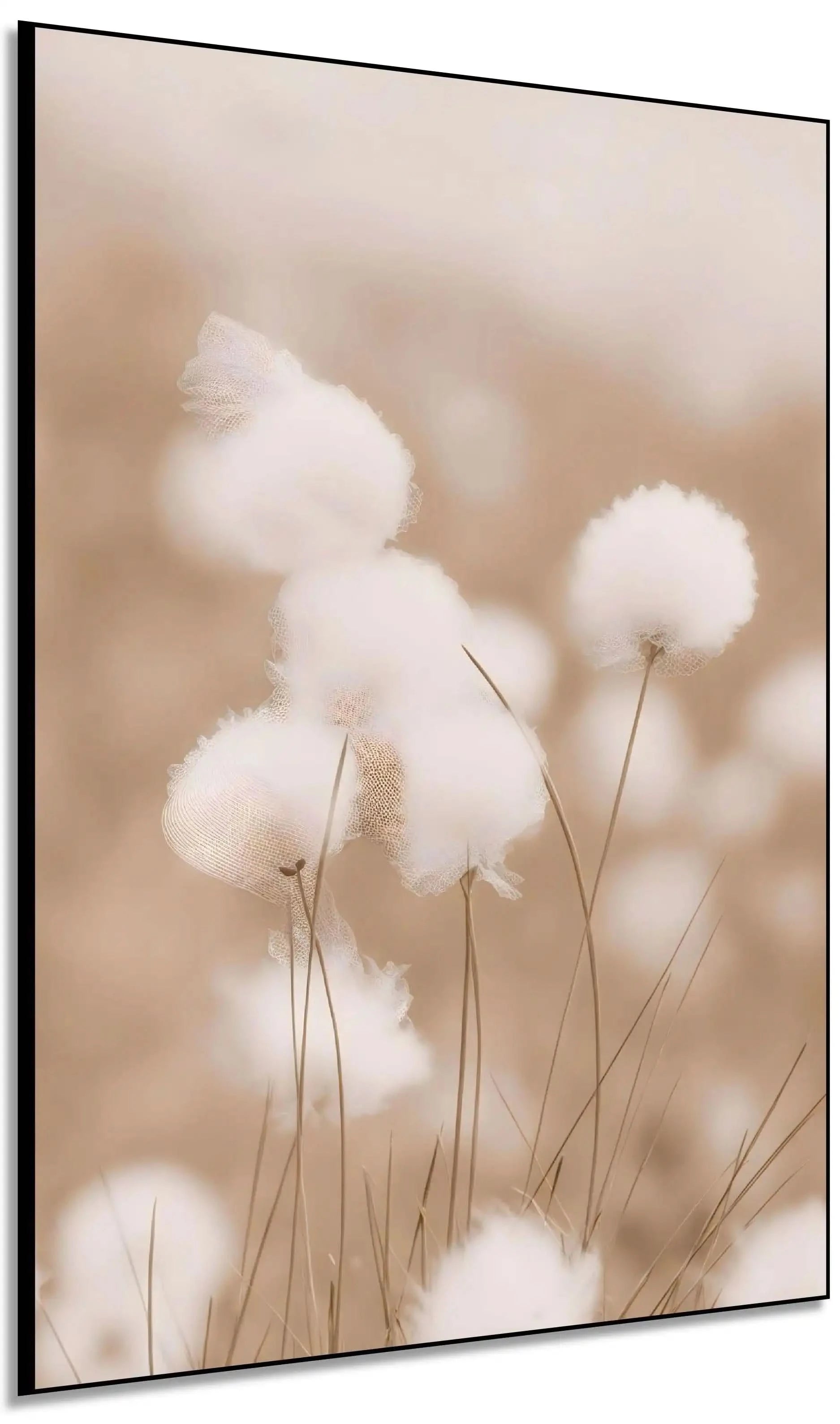 Fleurs de coton en flou artistique, tons beiges et blancs, ambiance zen et apaisante pour chambre ou salon.