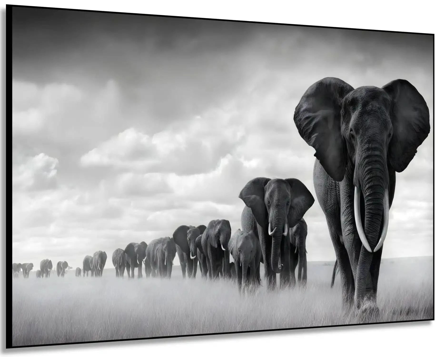 Tableau noir et blanc d'une file d'éléphants avançant dans la savane sous un ciel nuageux, symbole de force et d'unité.