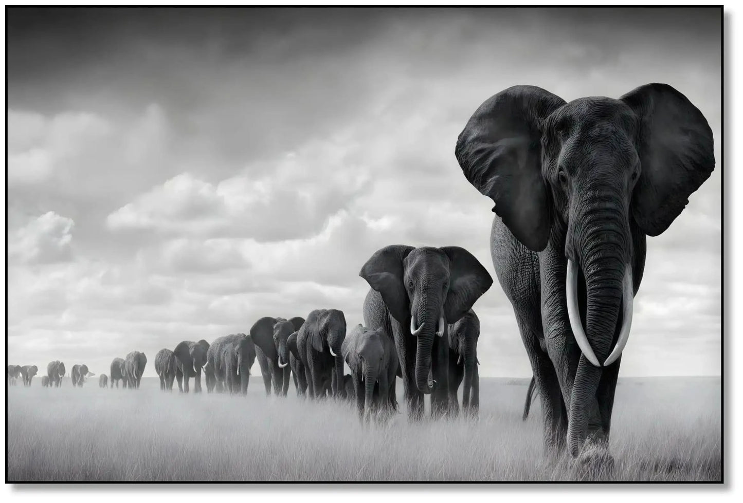 Tableau noir et blanc d'une file d'éléphants avançant dans la savane sous un ciel nuageux, symbole de force et d'unité.