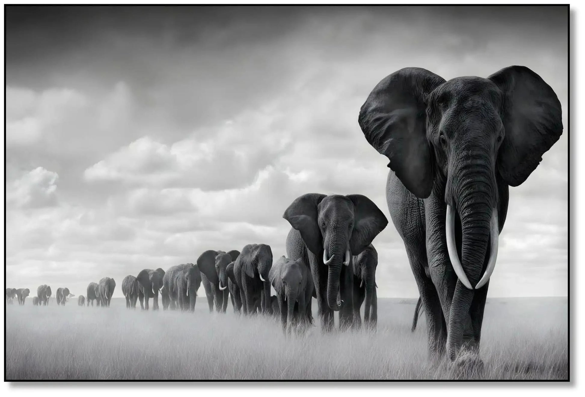 Tableau noir et blanc d'une file d'éléphants avançant dans la savane sous un ciel nuageux, symbole de force et d'unité.