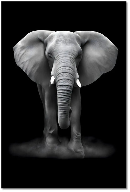 Tableau minimaliste noir et blanc montrant un éléphant de face sur fond sombre, évocateur de force et de sérénité.