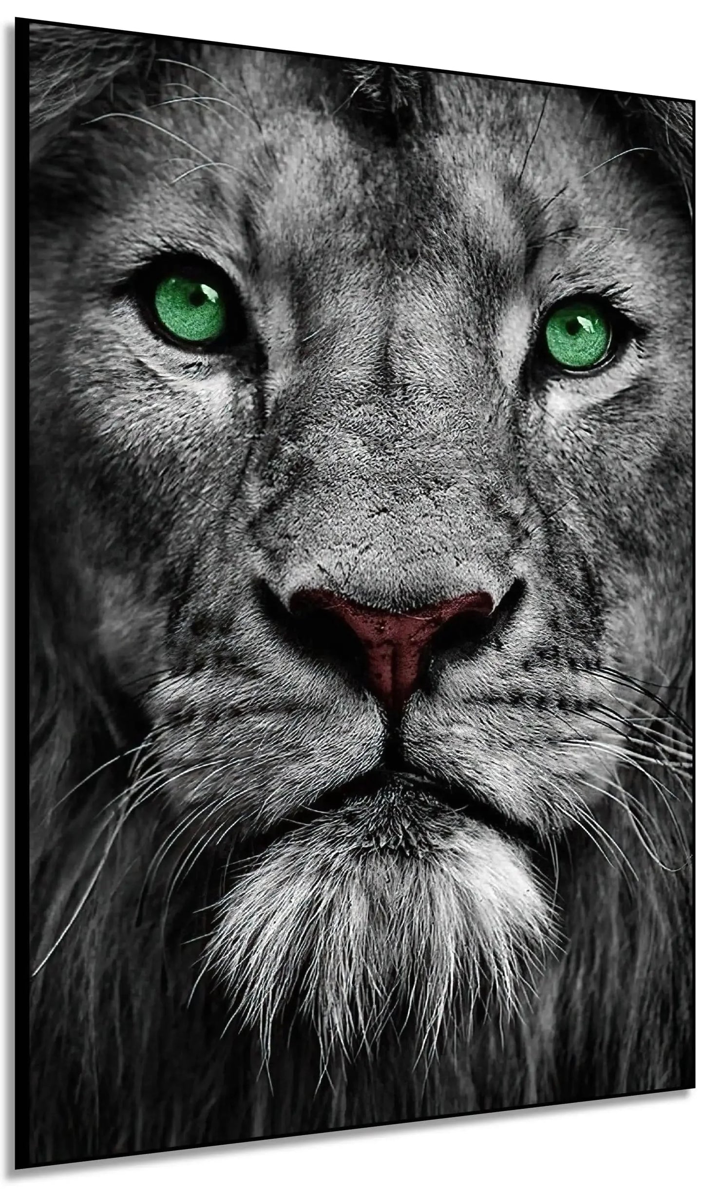 Portrait de lion en noir et blanc avec yeux verts émeraude, ambiance puissante et mystérieuse pour salon ou bureau.