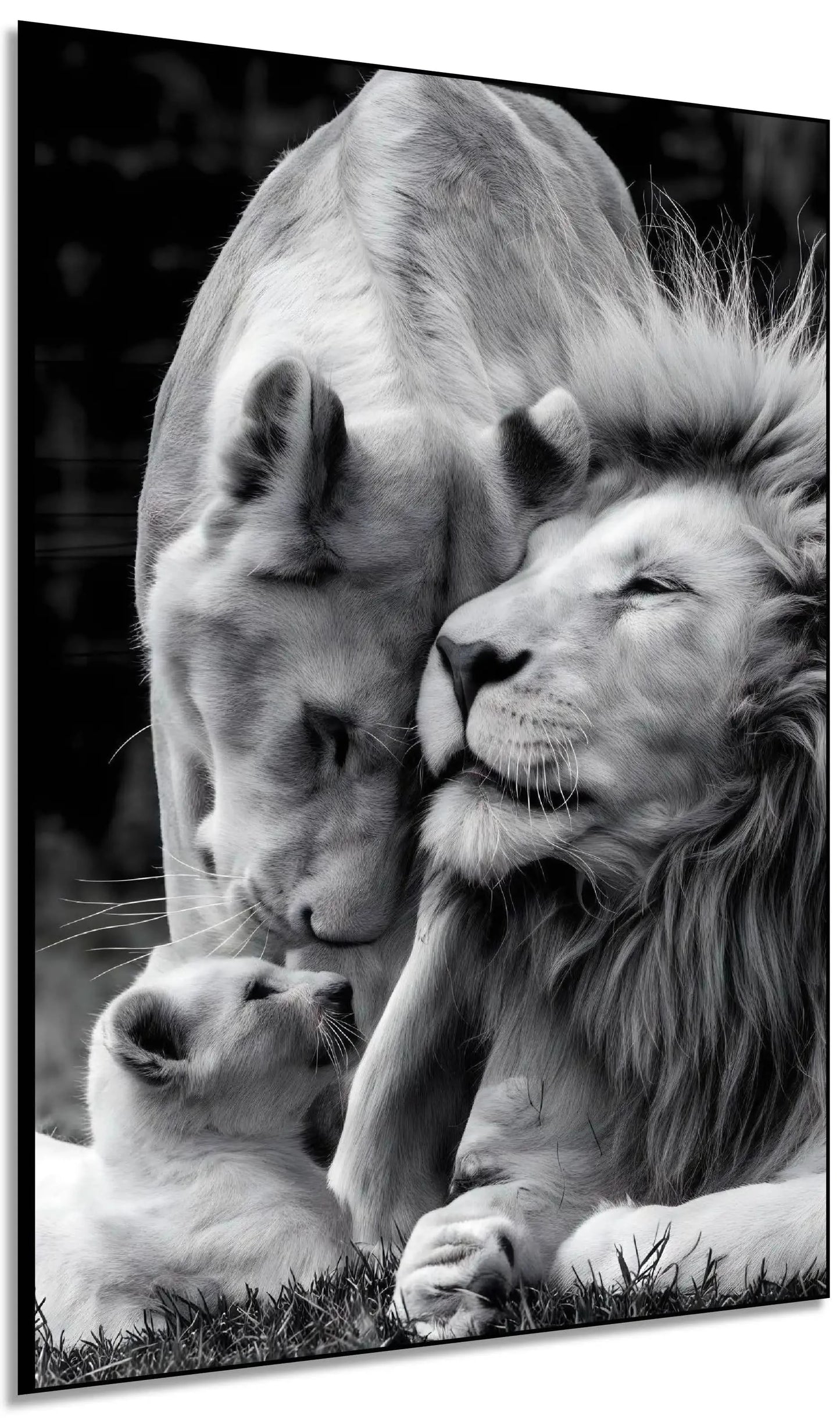 Scène en noir et blanc d'une famille de lions, tendresse et harmonie, ambiance sereine pour salon ou bureau.