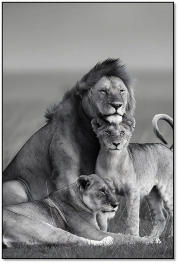 Famille de lions en noir et blanc, ambiance majestueuse et sereine, idéale pour salon ou bureau élégant.