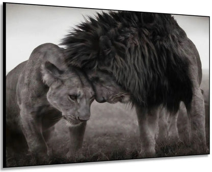 Lion et lionne en noir et blanc, moment de tendresse, ambiance sereine pour salon ou bureau.
