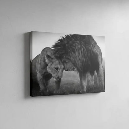 Lion et lionne en noir et blanc, moment de tendresse, ambiance sereine pour salon ou bureau.