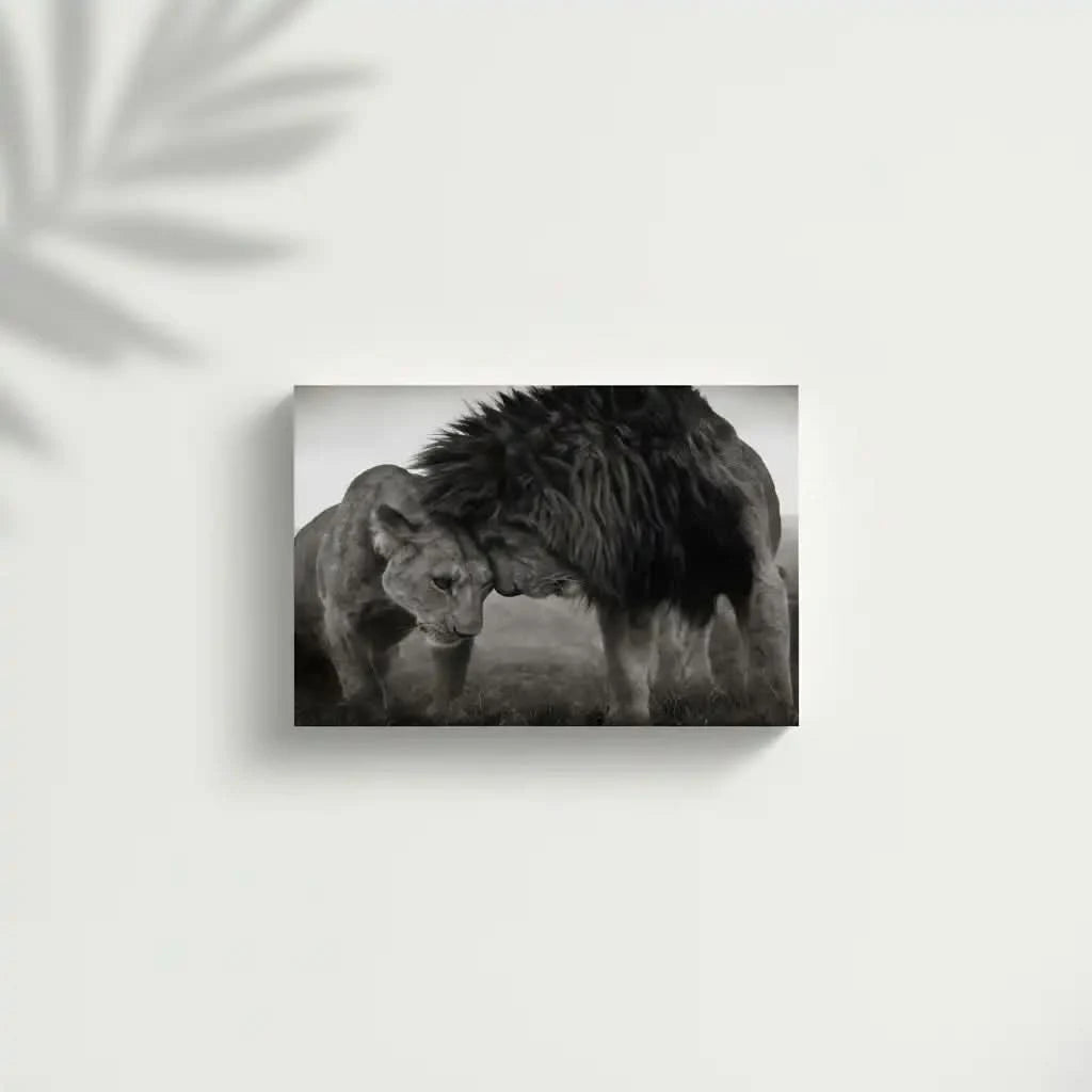 Lion et lionne en noir et blanc, moment de tendresse, ambiance sereine pour salon ou bureau.