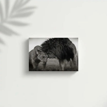 Lion et lionne en noir et blanc, moment de tendresse, ambiance sereine pour salon ou bureau.