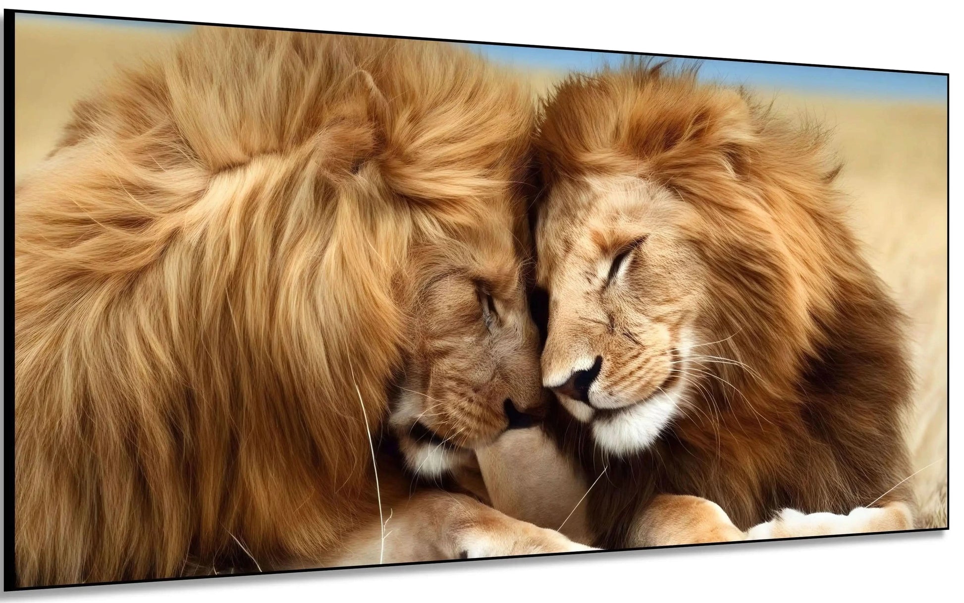 Deux lions aux crinières dorées, tête contre tête, évoquant tendresse et sérénité, idéal pour salon ou chambre.