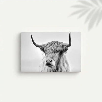 Photographie noir et blanc d'un boeuf Highland, sérénité et puissance pour salon moderne ou bureau, ambiance élégante.