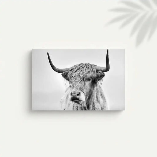 Photographie noir et blanc d'un boeuf Highland, sérénité et puissance pour salon moderne ou bureau, ambiance élégante.