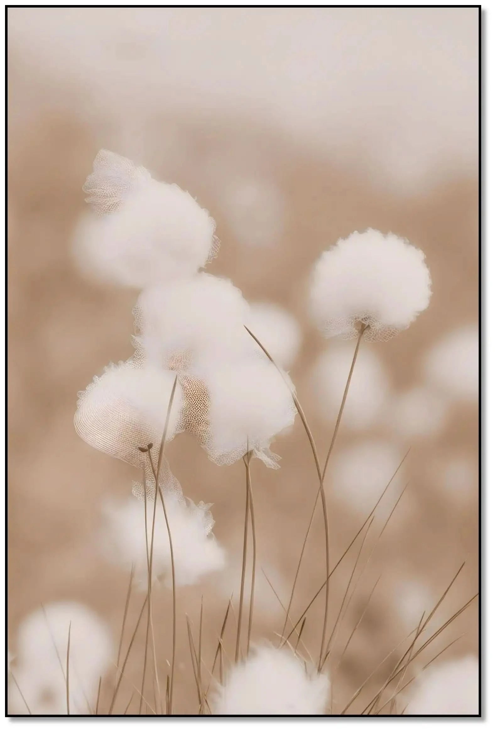 Fleurs de coton en flou artistique, tons beiges et blancs, ambiance zen et apaisante pour chambre ou salon.