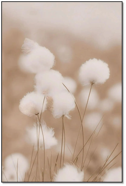 Fleurs de coton en flou artistique, tons beiges et blancs, ambiance zen et apaisante pour chambre ou salon.